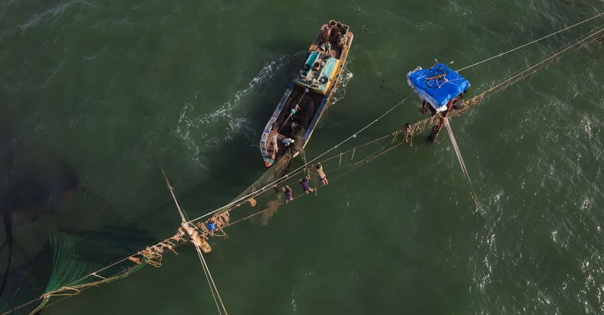 an aerial view of a fishing boat in the water